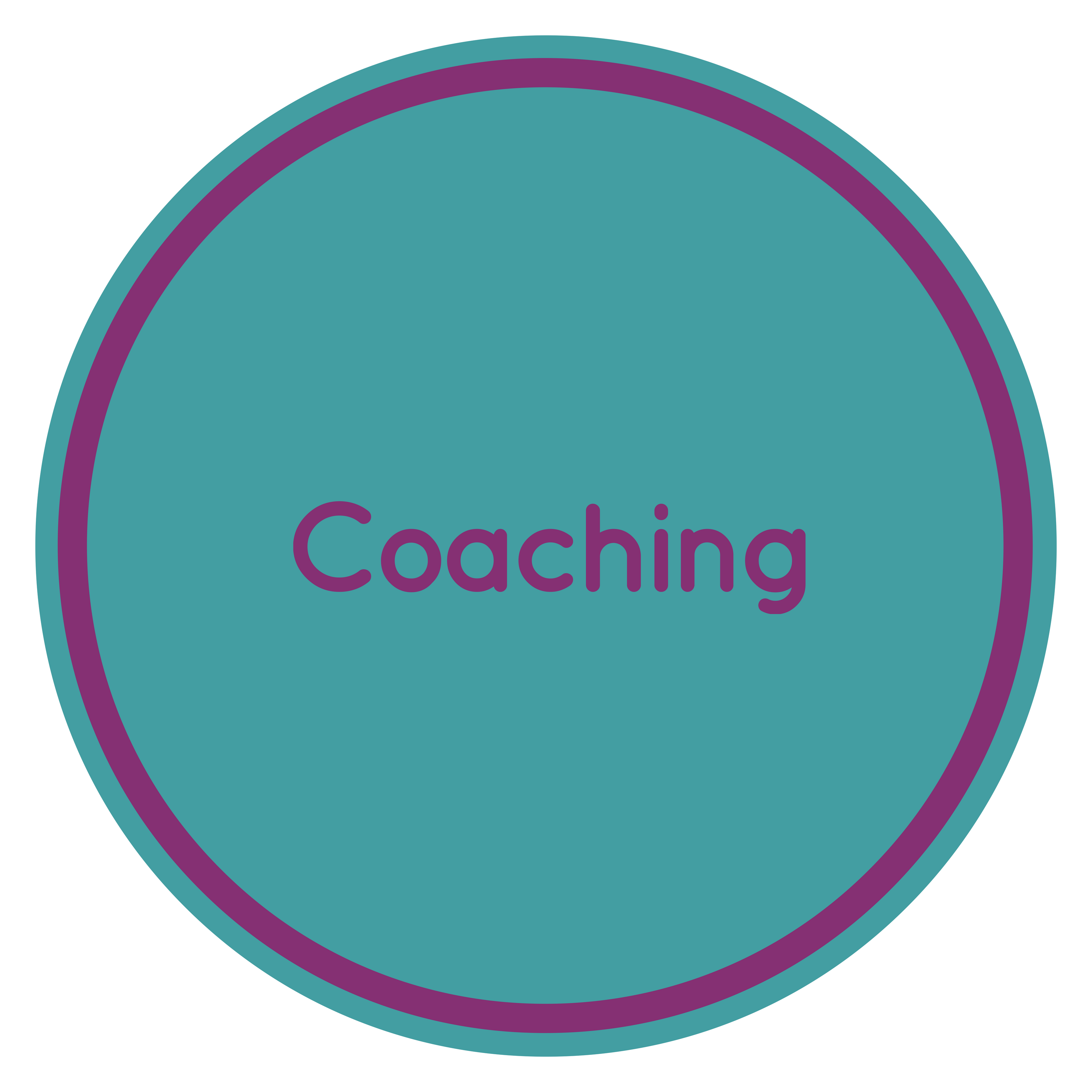 Coaching2